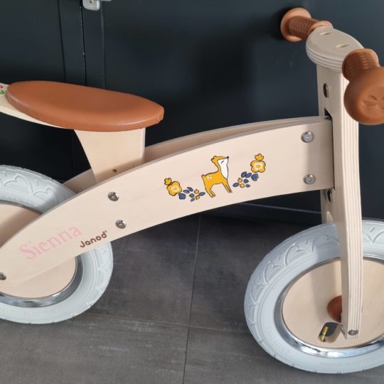 Loopfiets Smart 2 in 1 (v.a. 2jaar )